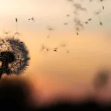 https://www.meryemkaratas.av.tr/wp-content/uploads/2018/09/post_02-1-160x160.webp