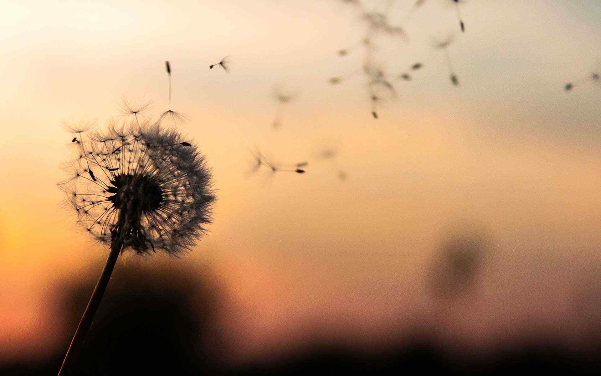 https://www.meryemkaratas.av.tr/wp-content/uploads/2018/09/post_02-1.jpg